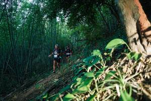 BIB: 
                            <button type="button" onclick="openModal(28124291)" class="btn btn-primary btn-sm float-right btn-popup" data-toggle="modal" data-target=".modal-high-quality">
                        <i class="fas fa-shopping-cart"></i> Add to Cart
                    </button>
                                            <button type="button" onclick="isThisMe(28124291, true)" class="btn btn-success btn-sm float-right btn-popup btn-isme hidden" data-toggle="tooltip" data-placement="bottom" title="นี่คือรูปของคุณใช่ไหม คลิกที่นี่เพื่อเอาเข้าอัลบั้ม">
                        <i class="fas fa-plus"></i> Add to album
                    </button>
                    <button type="button" onclick="isThisMe(28124291, false)" class="btn btn-warning btn-sm float-right btn-popup btn-isnotme hidden">
                        <i class="fas fa-ban"></i> Remove from album
                    </button>